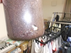 DSCF0114.jpg